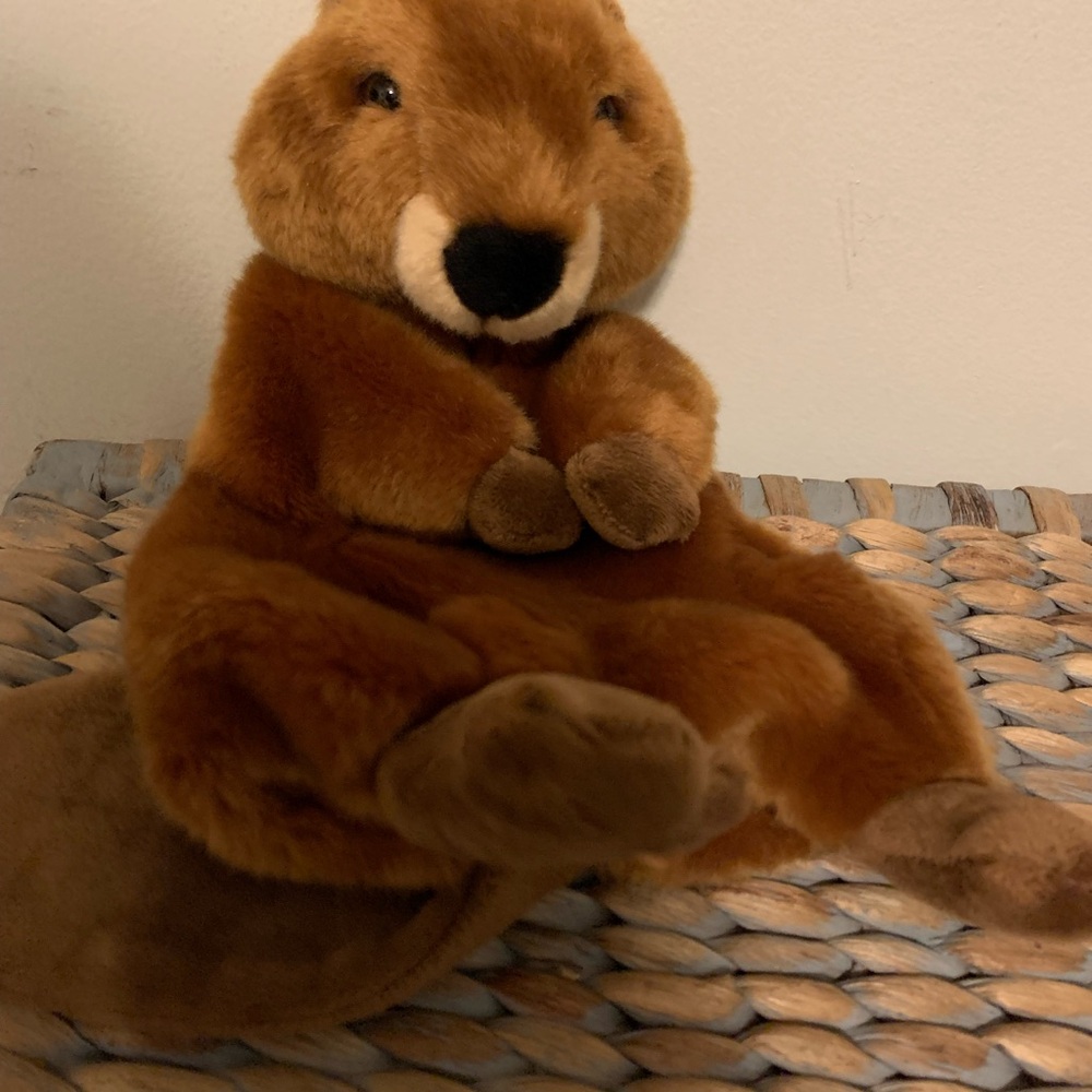 The Puppet Company Brown Beaver Hand Puppet - Picture 5 of 5
